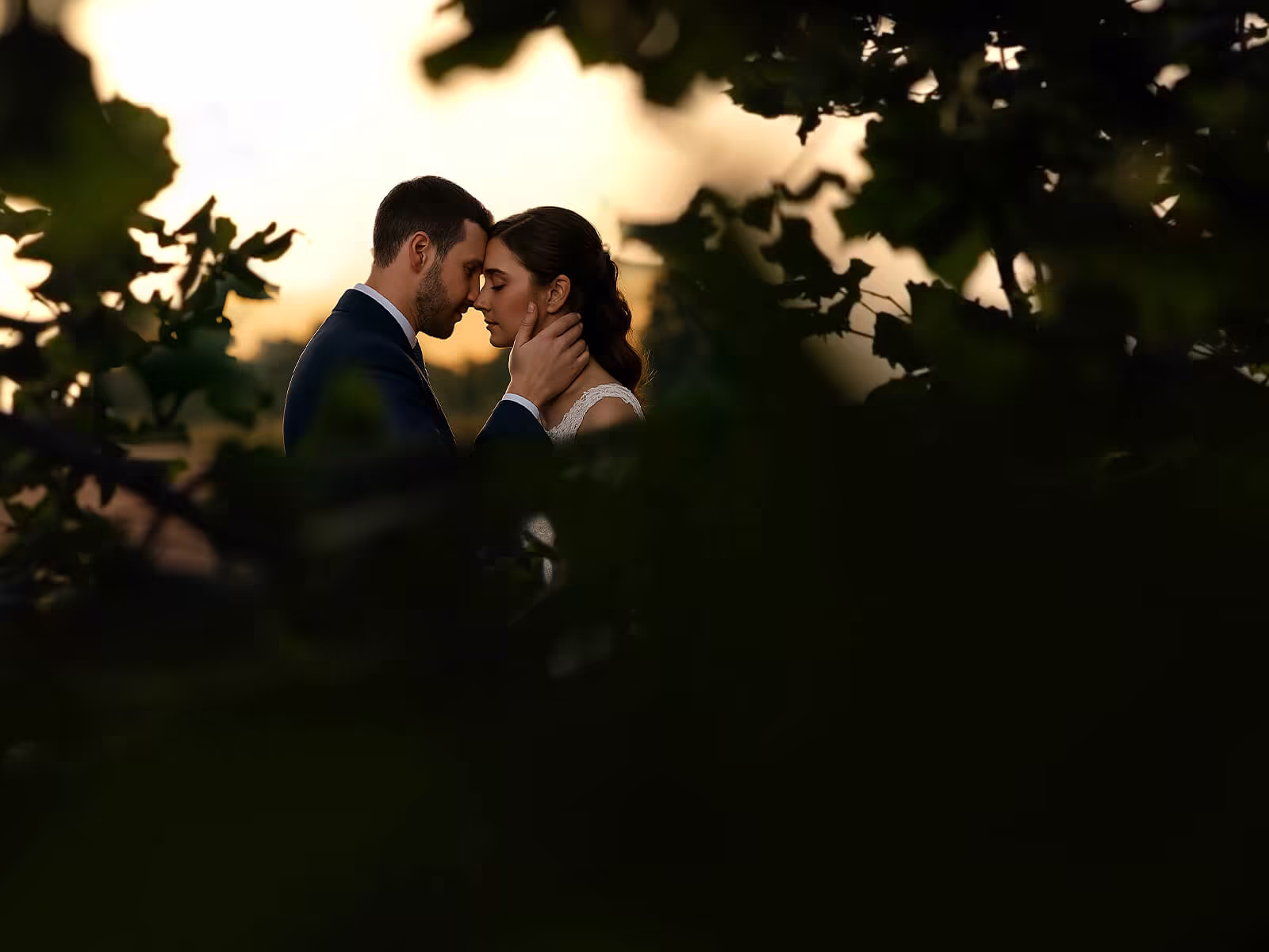 Tráiler de boda en la naturaleza de AyR en Lleida
